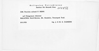 Image Associated With the Occurence